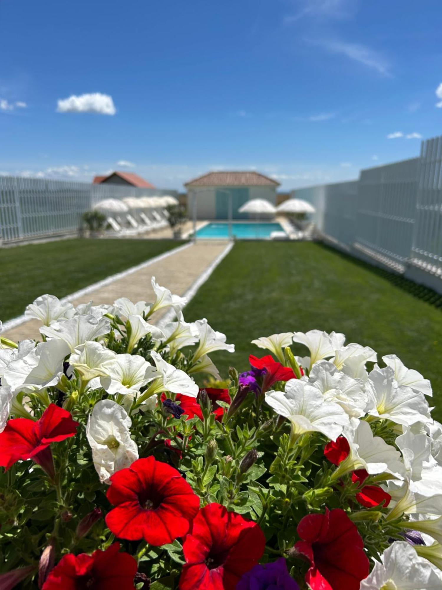 Alma Rezidence Bed & Breakfast Turda Exterior photo
