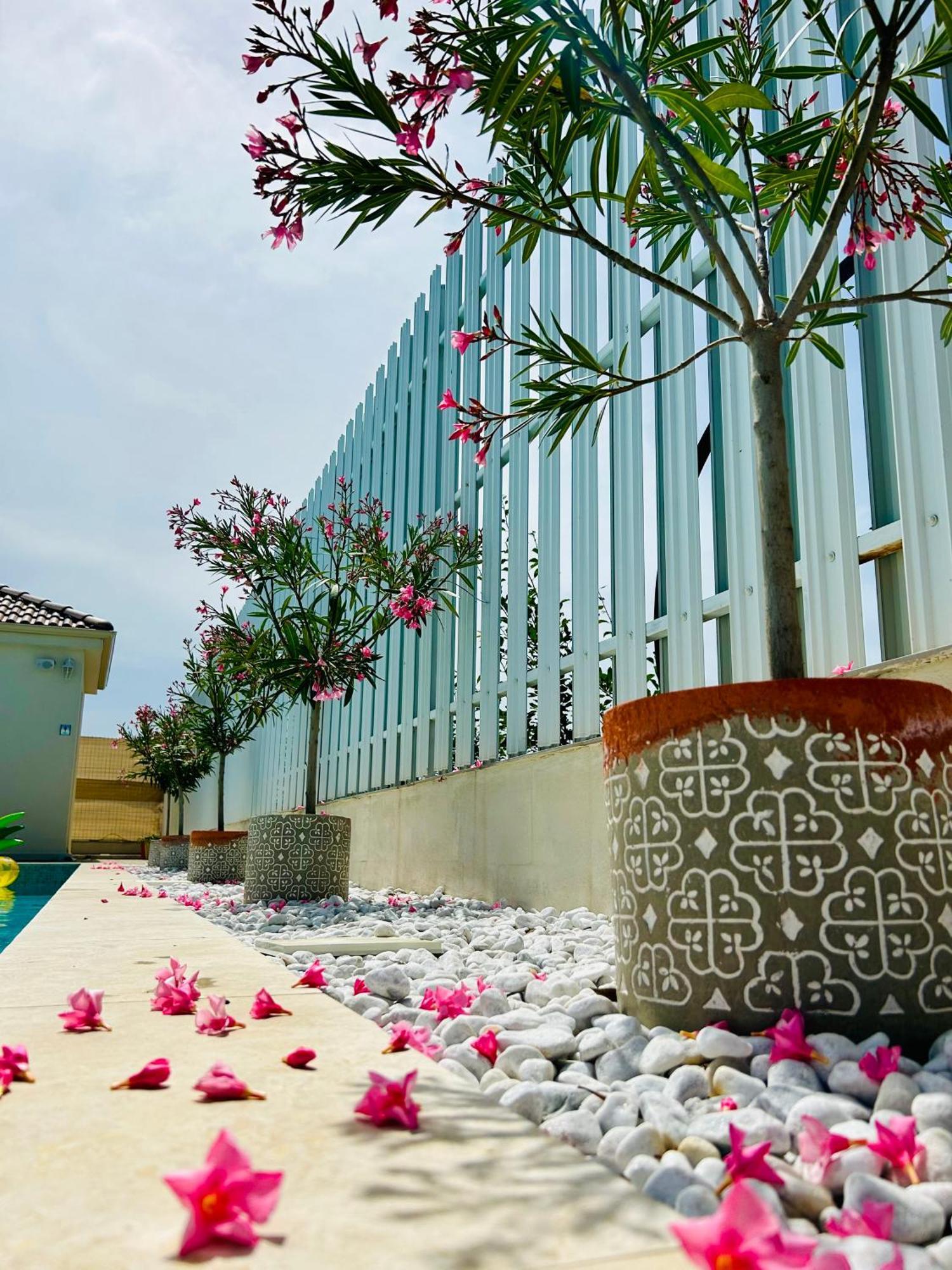 Alma Rezidence Bed & Breakfast Turda Exterior photo